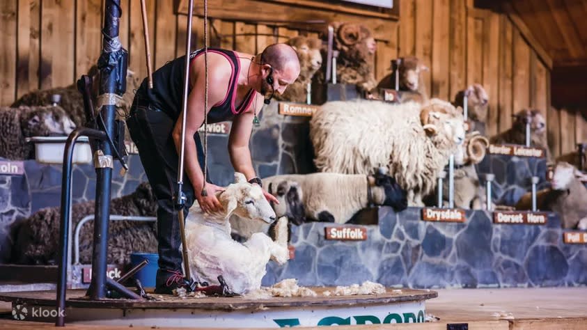 Agrodome Farm Show and Tour Ticket in Rotorua. (Photo: Klook SG)