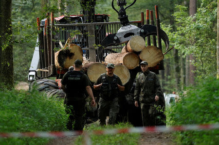 Forest guards are seen near logging machine during logging at Bialowieza forest, near Bialowieza village, Poland August 2, 2017. REUTERS/Kacper Pempel