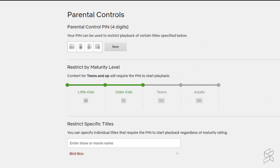 For better control, parents could also enable a 4-digit pin which further restricts access to content based on maturity. — Picture via SoyaCincau