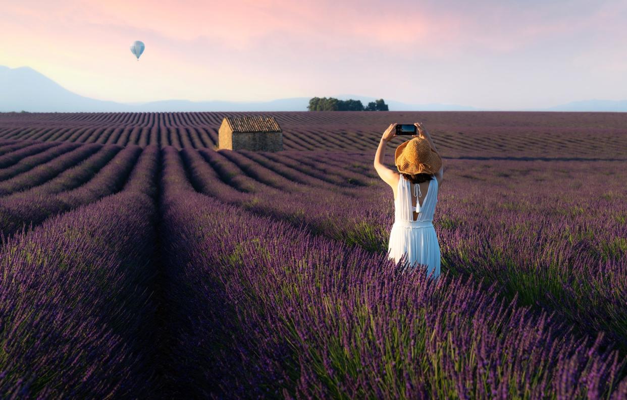 Lavender fields are a Instagram favourite - Getty