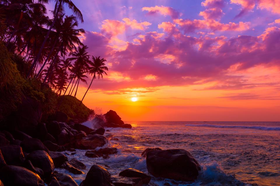 Palm tress on tropical coast at sunset