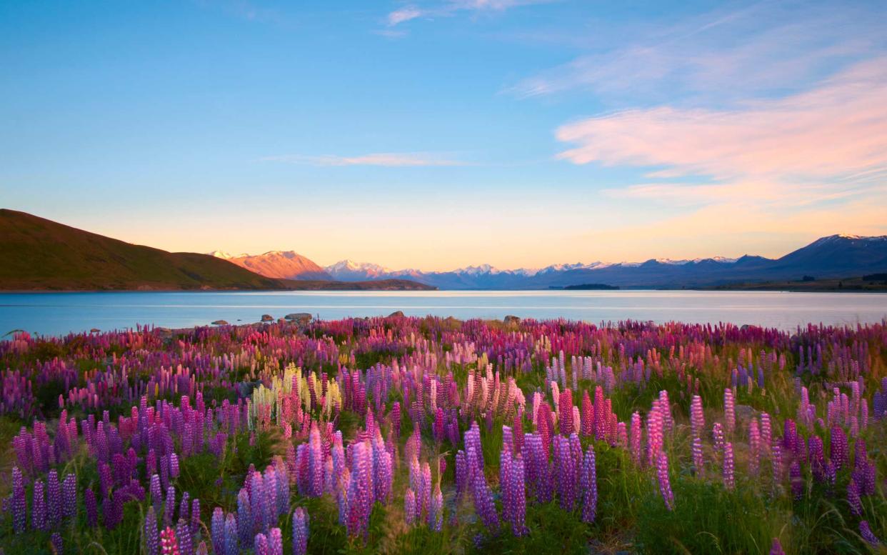 New Zealand is being cautious with tourism, but still wants visitors to return - istock