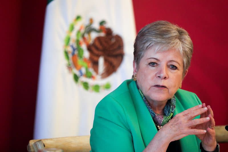 FILE PHOTO: Mexico's new Foreign Minister Alicia Barcena Ibarra holds a meeting with the media in Mexico City