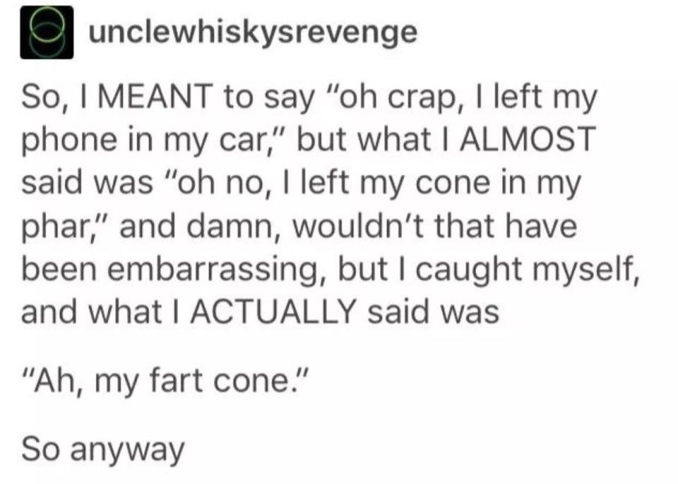 tumblr post reading I MEANT to say "oh crap, I left my phone in my car," but what I ALMOST said was “oh no, I left my cone in my phar," and damn, wouldn’t that have been embarrassing. but I caught myself. and what I ACTUALLY said was “Ah. my fart cone."