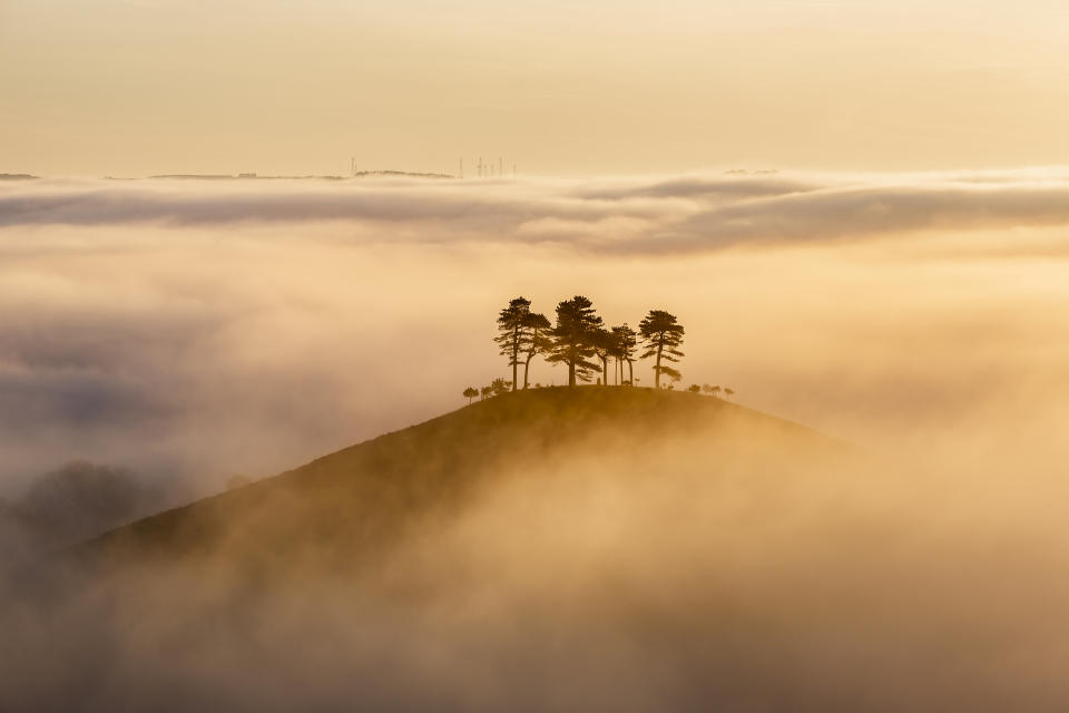 Another sunrise formed the subject for Mark Whitmarsh's image 'Misty Sunrise', taken at Colmer's Hill in Dorset, England.