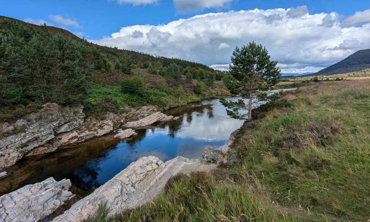 <span>Glen Feshie. ‘This combination of shifting river bed, surrounding slopes and returning tree cover makes it a unique haven for wildlife.’</span><span>Photograph: Merryn Glover</span>