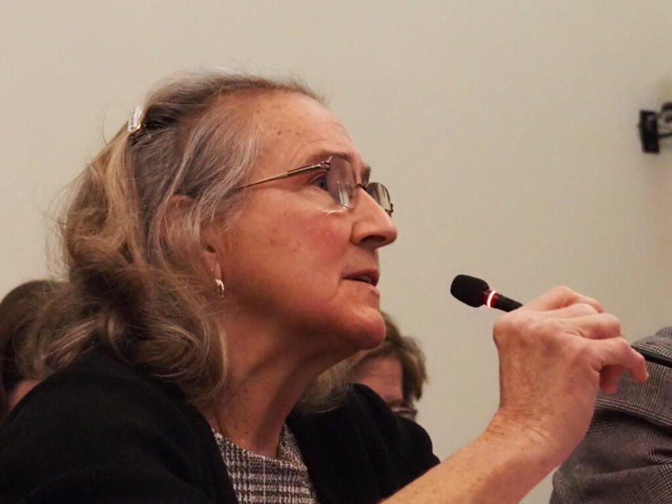  Rep. Rita Fleming, D-Jeffersonville, testifies in committee on Thursday, Feb. 29, 2024. (Leslie Bonilla Muñiz/Indiana Capital Chronicle)