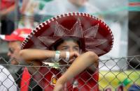 Formula One - F1 - Italian Grand Prix 2016 - Autodromo Nazionale Monza, Monza, Italy - 4/9/16 Fan watches the race Reuters / Max Rossi Livepic