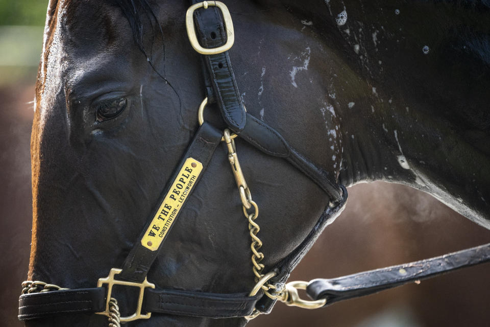 We the People is bathed after training before the 154th running of the Belmont Stakes horse race, Thursday, June 9, 2022, in Elmont, N.Y. (AP Photo/John Minchillo)