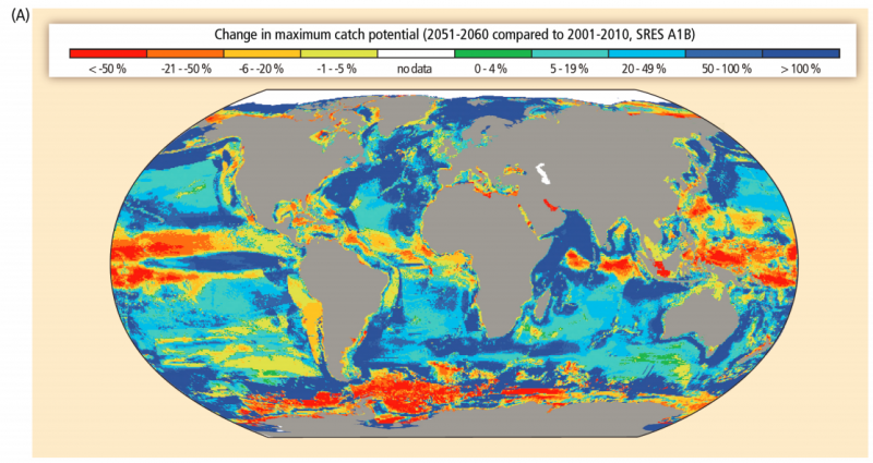 Change in catch potential to world fisheries