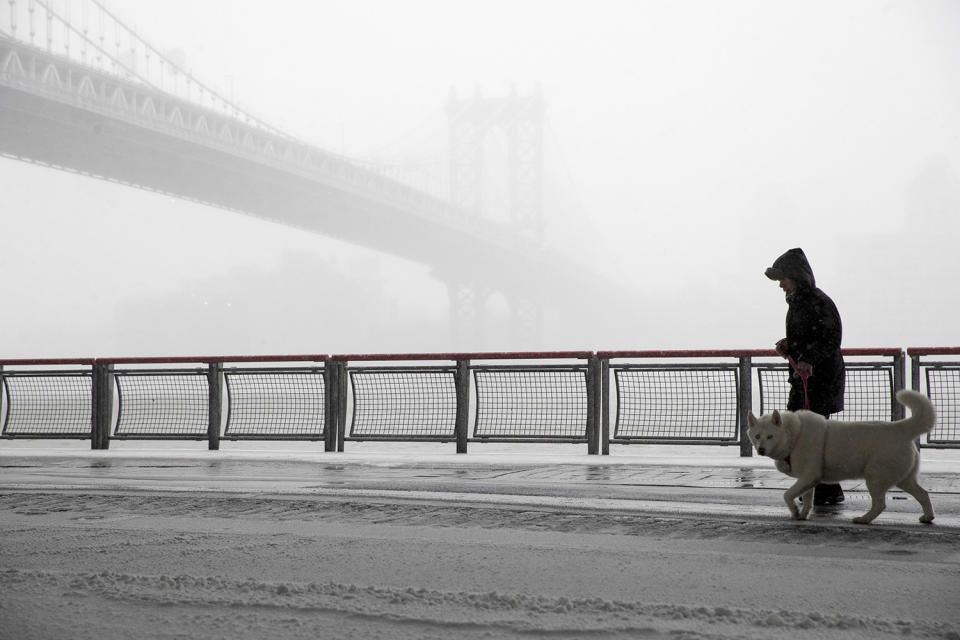 Winter Storm Stella pounds East Coast