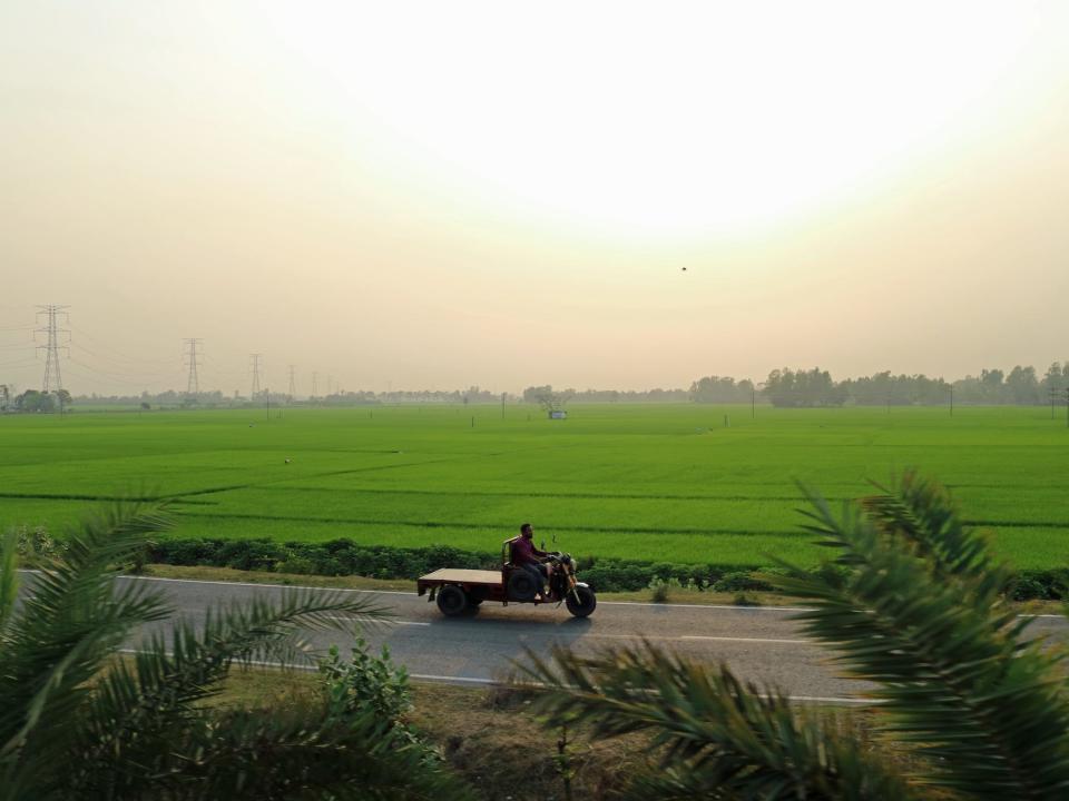 sun setting over a field in bangladesh