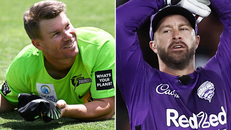 David Warner and Matthew Wade are pictured side by side.