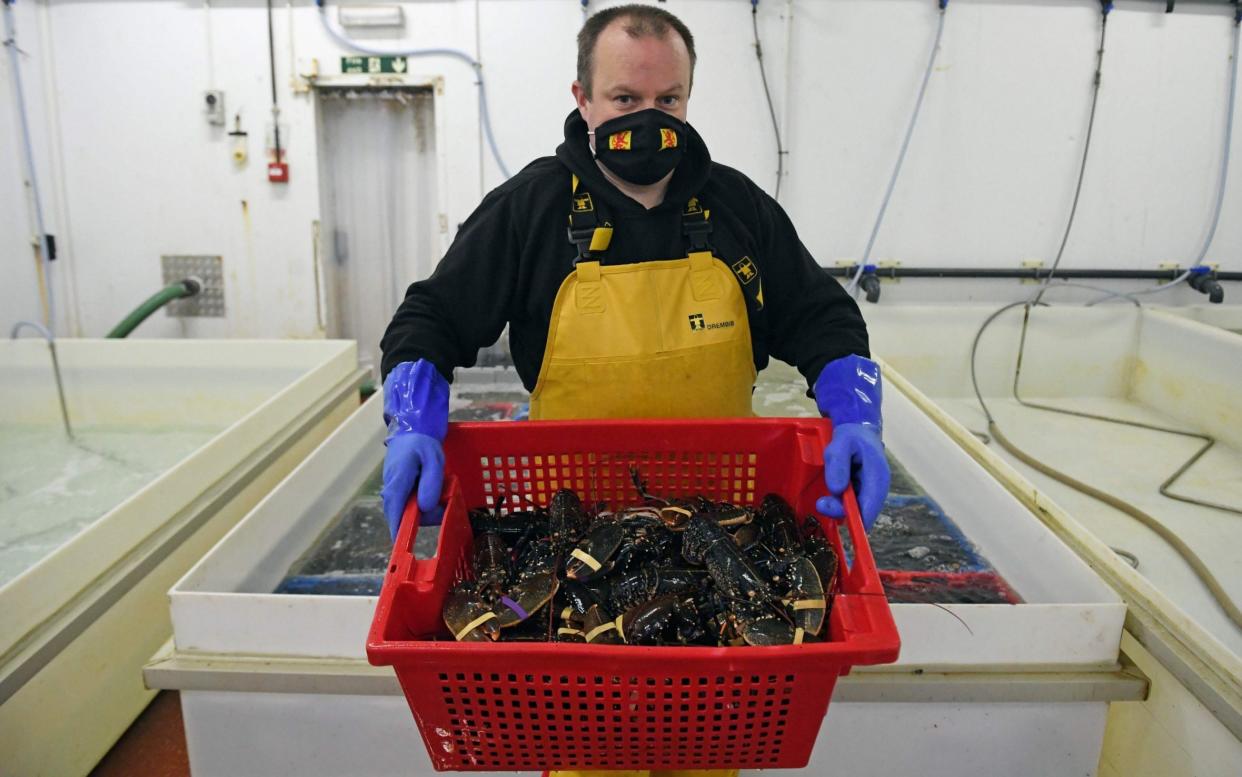 It emerged last week that Brussels had told British fishermen they would be indefinitely banned from selling live mussels, oysters, clams, cockles and scallops to the EU because the UK was now a third country - Andy Buchanan/AFP