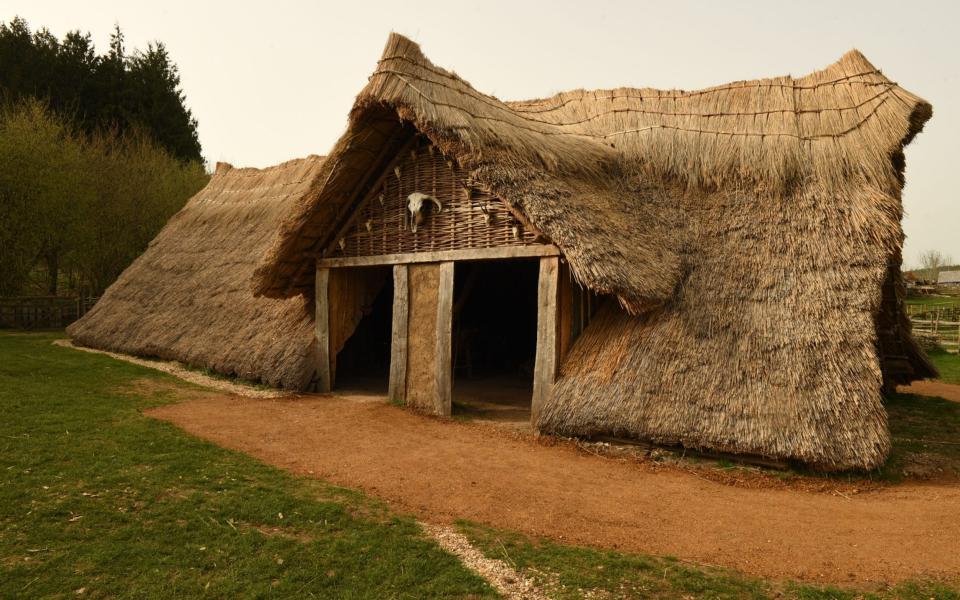 Stone Age house at Butser Ancient Farm  - Russell Sach for The Telegraph