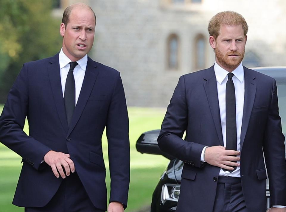 Prince William, Prince Harry