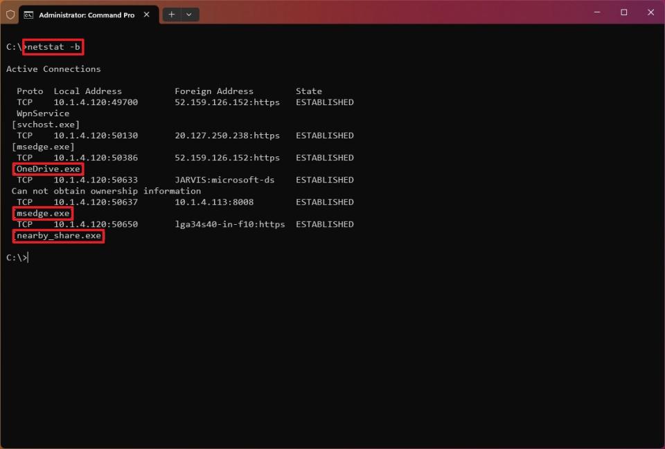 netstat -b command