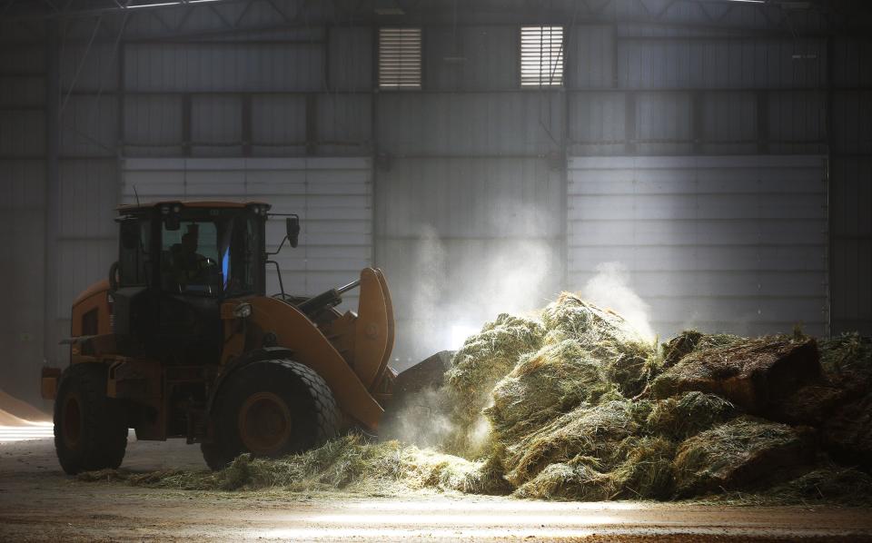 Cattle feed is mixed at Nye Dairy as the Millard County Farm Bureau hosts a tour of alfalfa farms, water improvements and a dairy to showcase local agriculture in Delta on Wednesday, Sept. 6, 2023. | Jeffrey D. Allred, Deseret News