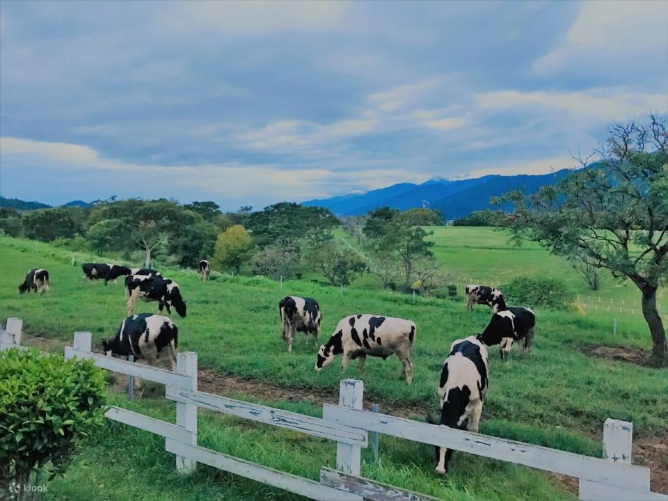 Chu Lu Ranch. (Photo: Klook SG)