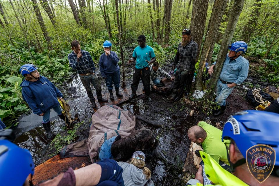 One of the horses stuck deep in the mud as the team prepare to extract the animal (LVFD)