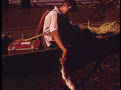 LOCAL EPA WORKER ON A FIELD TRIP POINTS OUT A DYING FISH AT THE INNER CITY VIADUCT AREA JOINING KANSAS CITY, KS, AND KANSAS CITY, MO