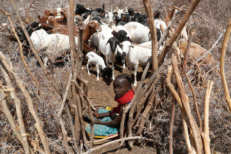 A Turkana tribesgirl sits in front of goats in a village near Todonyang, Kenya March 22, 2019. REUTERS/Goran Tomasevic