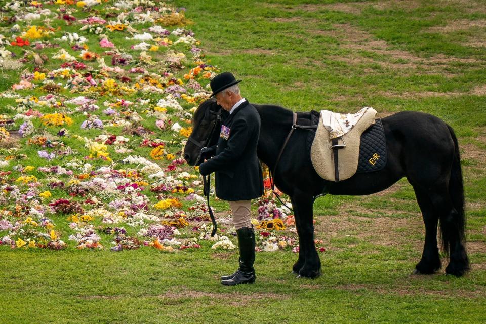 Emma, Queen Elizabeth II's Fell pony, stands near floral tributes as the ceremonial procession of the queen's arrives at Windsor Castle for the Committal Service at St George's Chapel, Sept. 19, 2022.
