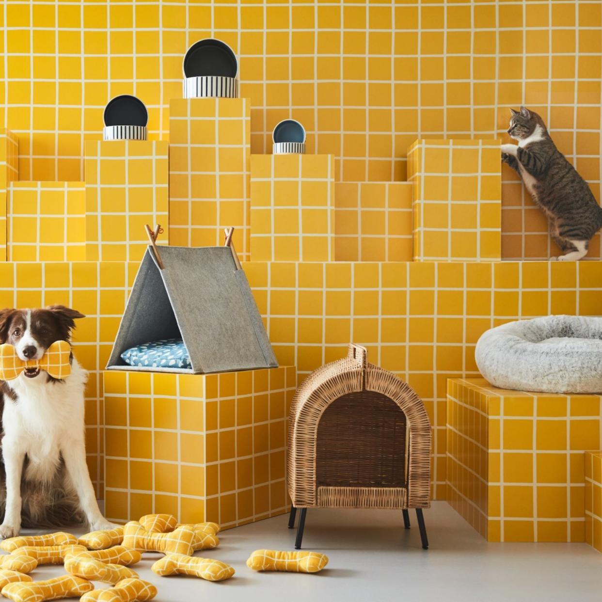  IKEA UTSÅDD products on a yellow background with a dog and cat in the frame. 