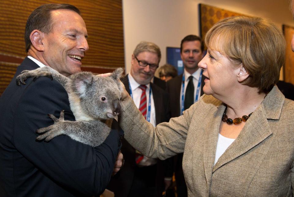 G20 handout photo shows German Chancellor Merkel patting a koala held by Australia's PM Abbott before the G20 Leaders' Summit in Brisbane