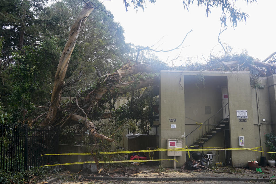 Damage to an apartment building can be seen after a tree toppled over in Oakland, Calif., Thursday, Jan. 5, 2023. (AP Photo/Godofredo A. Vásquez)