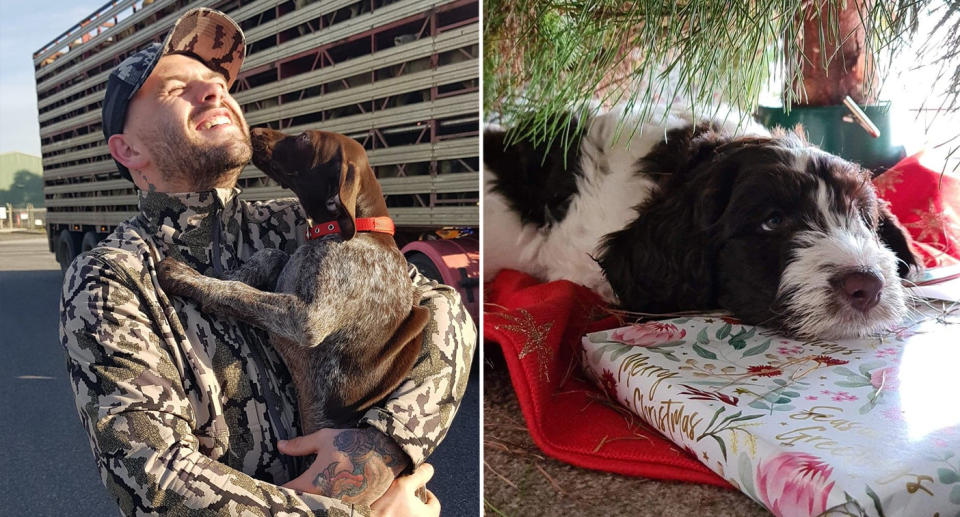 Left is Jordan and Gunnar the day they picked him up. Right is Winnie sitting under the Christmas tree.