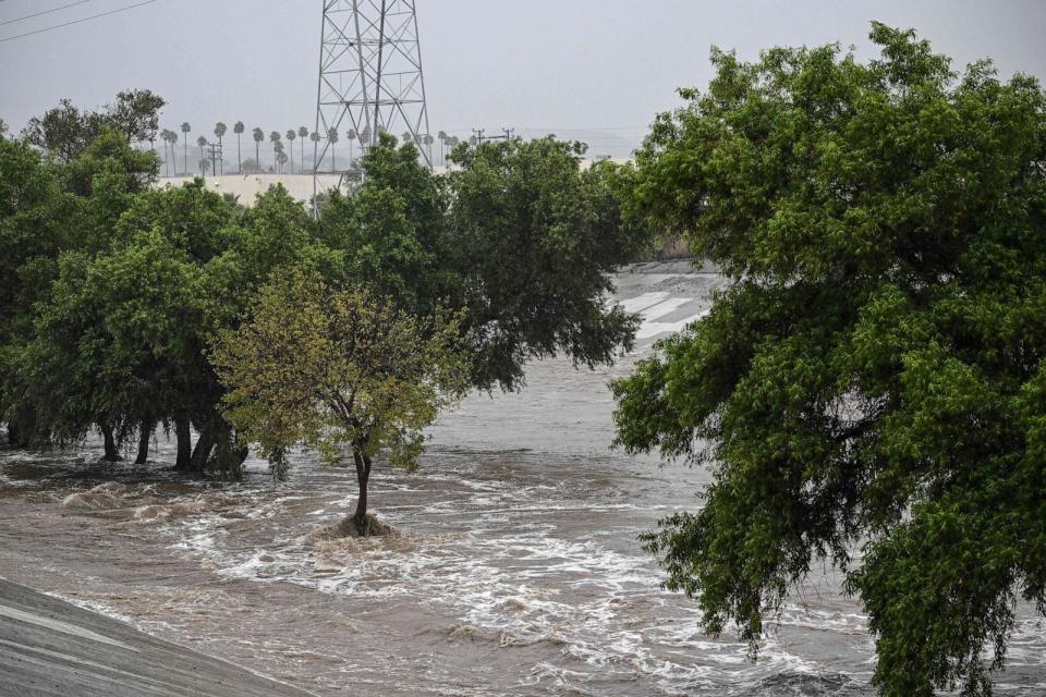 PHOTO: The Los Angeles River swells with rushing water near Griffith Park in Los Angeles, Aug. 20, 2023. (Robyn Beck/AFP via Getty Images)