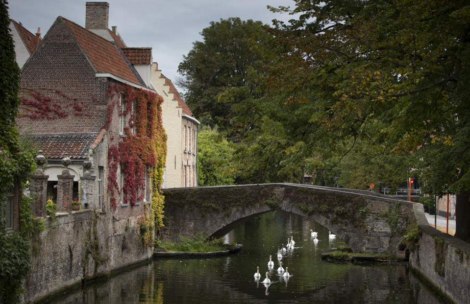 Swans swim under a canal bridge in Bruges, Belgium, Wednesday, Sept. 2, 2020. Europe’s leanest summer tourist season in history is starting to draw to a close, six months after the coronavirus hit the continent. COVID-19 might tighten its grip over the coming months, with losses piling up in the tens of billions of euros across the 27-nation European Union. In the Belgian city of Bruges, white swans instead of tourist boats rule the canals, hotels stand empty and museums count their losses. (AP Photo/Virginia Mayo)