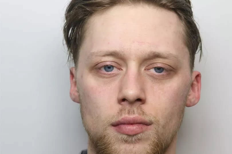 Burglar Luke Brandon has been jailed