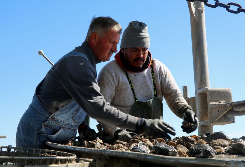 Oystermen sift through rocks and shells to find oysters, in Galveston Bay