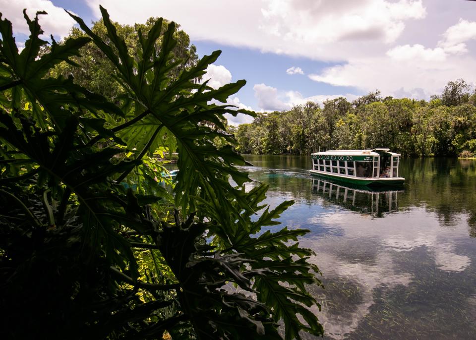 Silver Springs' glass-bottomed boats have been drawing tourists to Florida for decades. Silver Springs is now a state park.