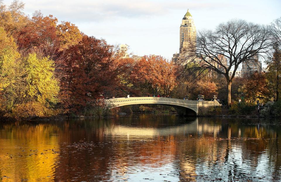 Bow Bridge is seen as people enjoy autumn foliage at the Central Park in New York City, United States on November 10, 2020.