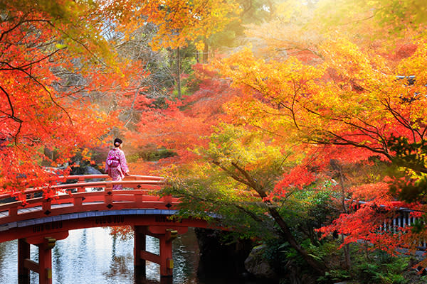 Cáncer – Kioto, Japón