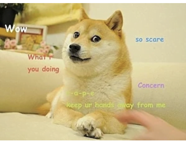 Dogecoin is based on this 2013 meme.