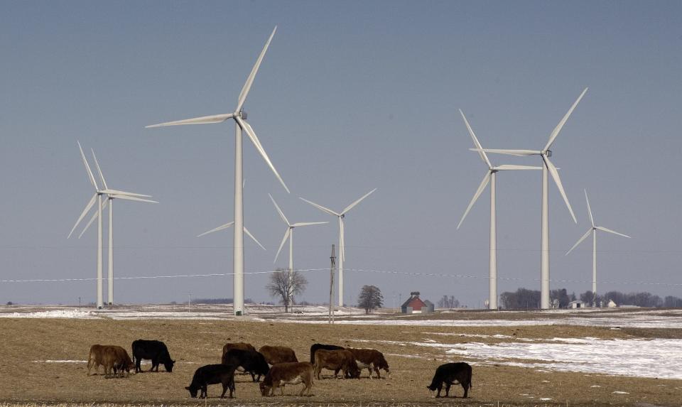 A MidAmerican Energy wind farm near Pomeroy in January 2009.