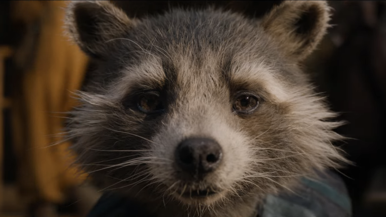  Rocket in Guardians of the Galaxy Vol. 3. 