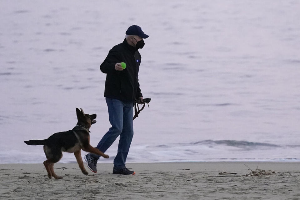 President Joe Biden prepares to throw a ball as he walks with his dog Commander in Rehoboth Beach, Delaware. (AP Photo/Patrick Semansky