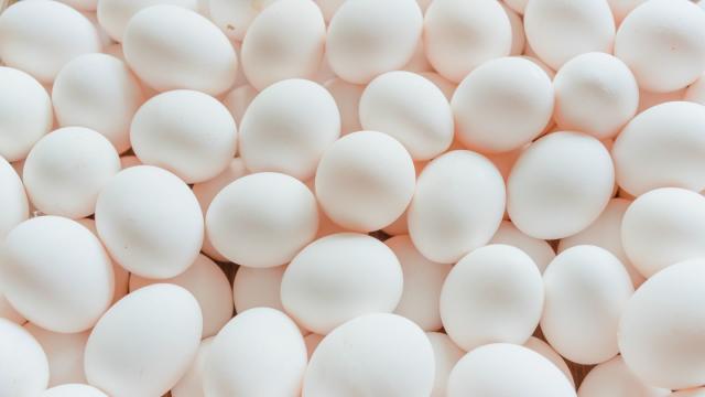 13 Best Egg Beaters Of 2023, According To Food Experts