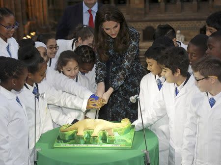 Britain's Catherine, Duchess of Cambridge cuts a cake with pupils from Oakington Manor Primary School, as she attends a children's tea party, to celebrate Dippy the Diplodocus's time in Hintze Hall, at the Natural History Museum in London, Britain November 22, 2016. REUTERS/Yui Mok/Pool