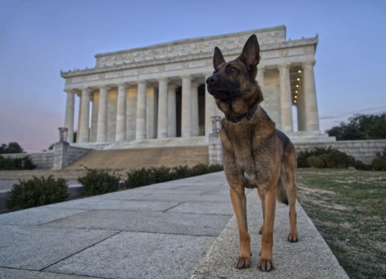 Marine Corps veteran Richard Pickett-White has been trying to find a way to stay with Abel, a K-9 dog he was contracted to help pass a bomb-sniffing test. He has offered the defense contractor who owns Abel a significant sum to take him home, but the firm said its dogs are not for sale.