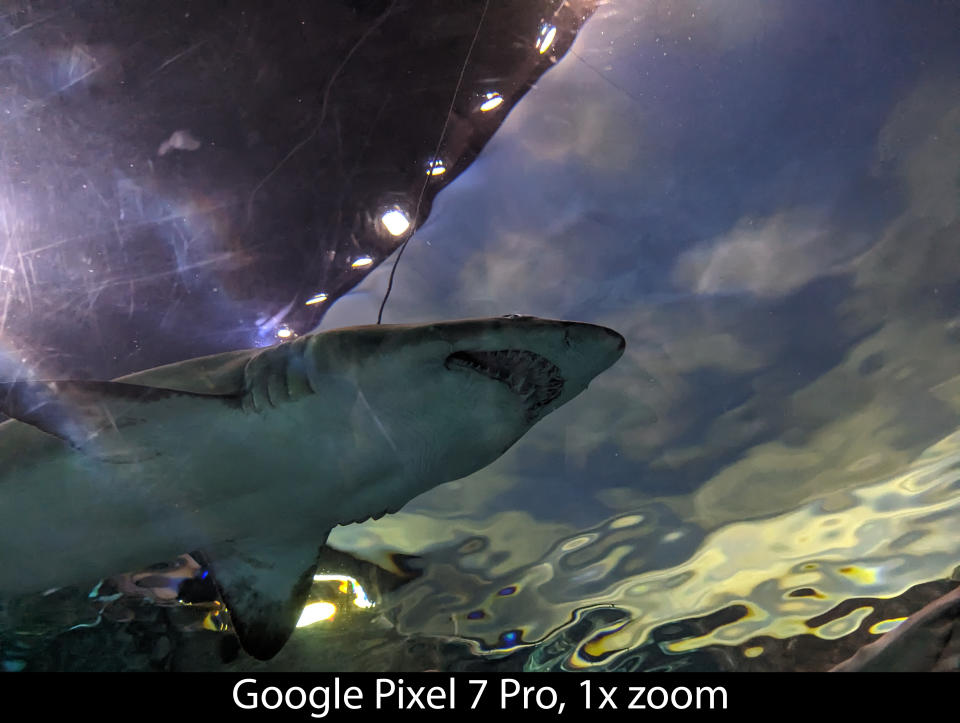 Camera samples from the Google Pixel 7 Pro's main camera