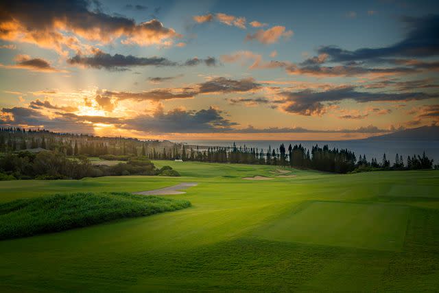 <p>Dave Sansom/Courtesy of Kapalua Golf</p>