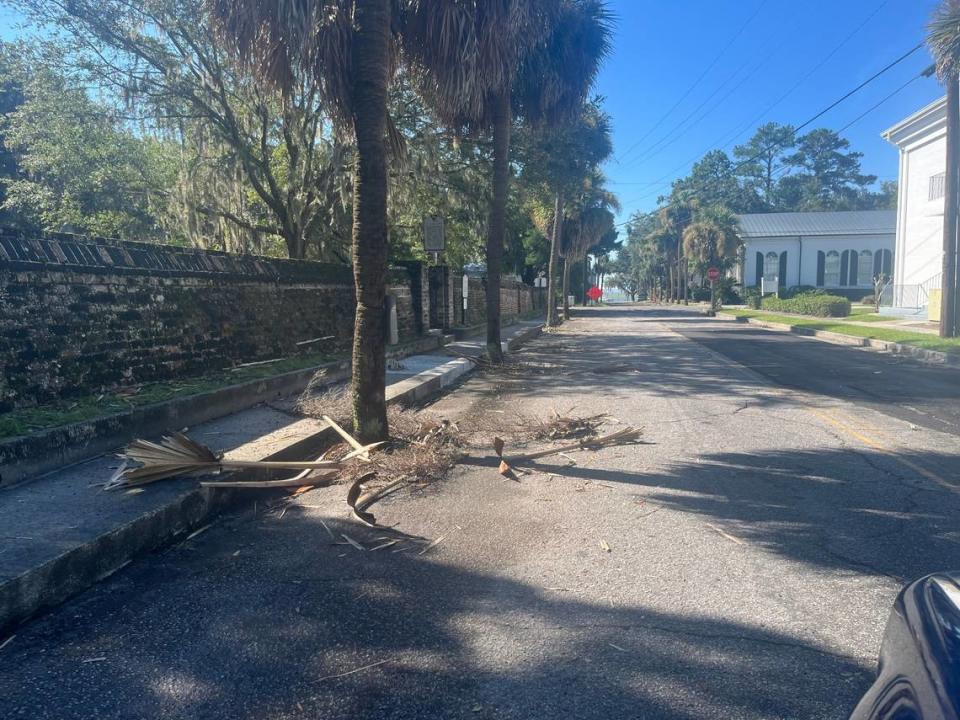 Beaufort streets were littered with tree debris in the wake of Tropical Storm Idalia. The Public Works Department will do a one-time sweep in Beaufort to pick up excess yard debris beginning Tuesday, Sept. 5, through Friday, Sept. 8. Yard debris must be placed next to the roadway by Tuesday morning, Sept. 5.