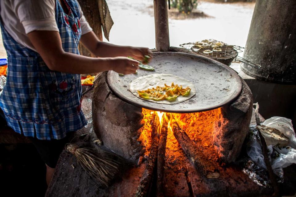 Flor de calabaza quesadilla being made in a comal, this is pumpkin​ flower tacos
