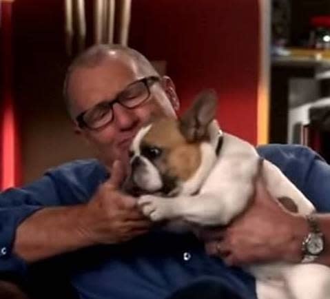 Ed O'Neill on "Modern Family" holding a dog
